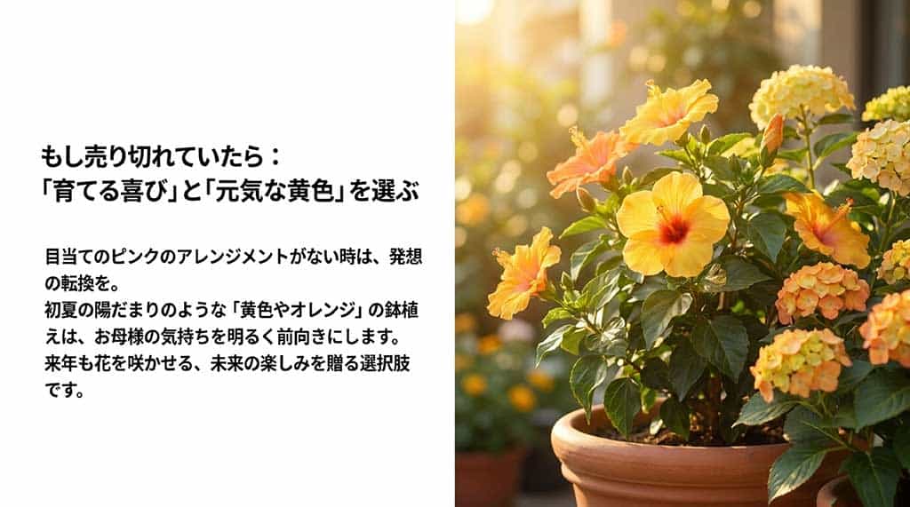 ピンクが売り切れた際に、明るい黄色・オレンジ系の花や、長く楽しめる鉢植えを提案するスライド