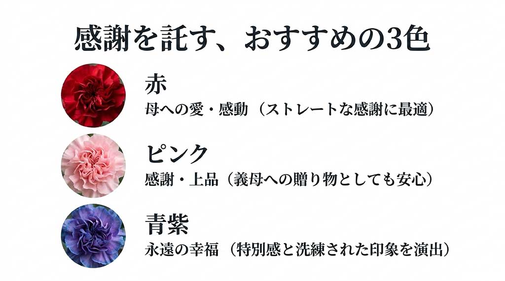 赤(母への愛)、ピンク(感謝・上品)、青紫(永遠の幸福)の3色の意味とおすすめポイントを解説するスライド