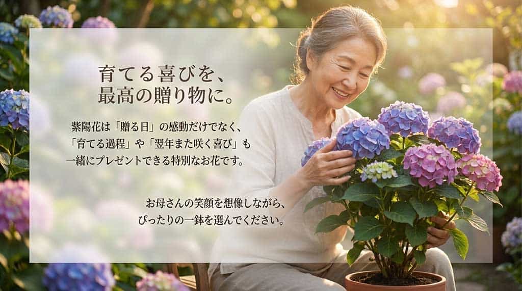 紫陽花を贈ることは、育てる過程や翌年の開花の喜びも贈ることであると伝えるメッセージスライド