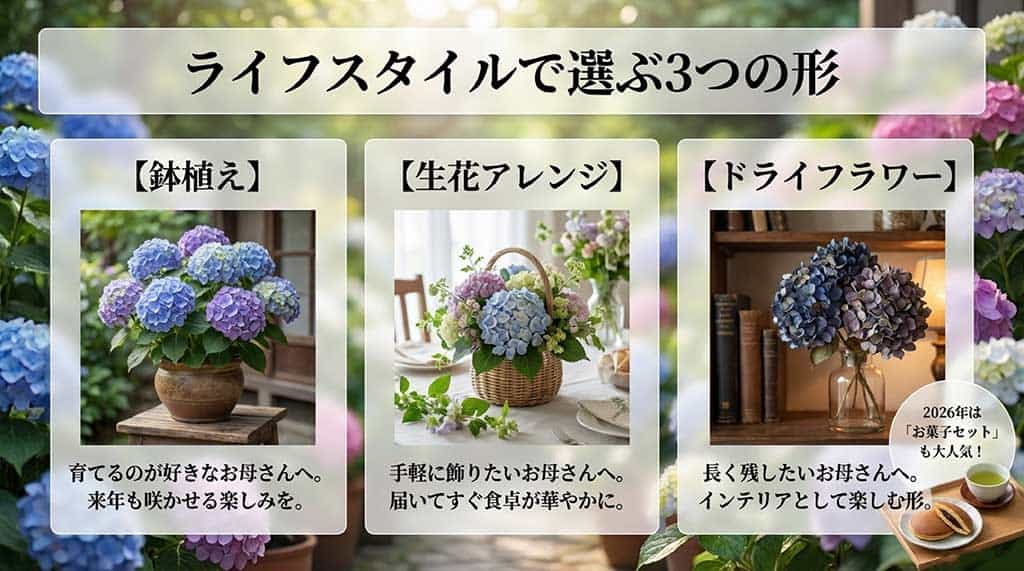 鉢植え、生花アレンジ、ドライフラワーの3つの形態とお菓子セットの魅力を紹介する画像