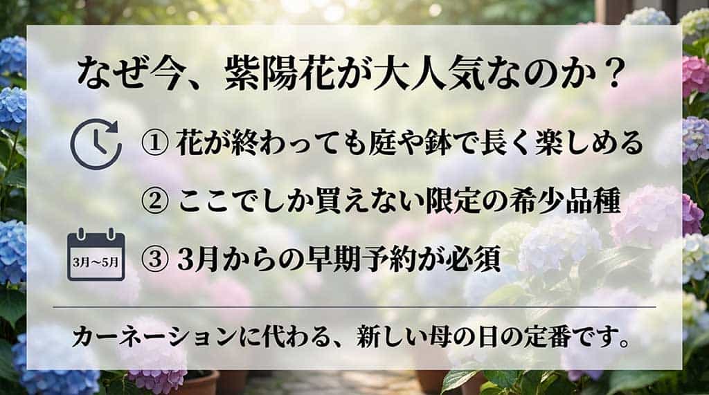 3月からの早期予約の重要性や、長く楽しめる持続性など紫陽花が人気の理由を説明するスライド