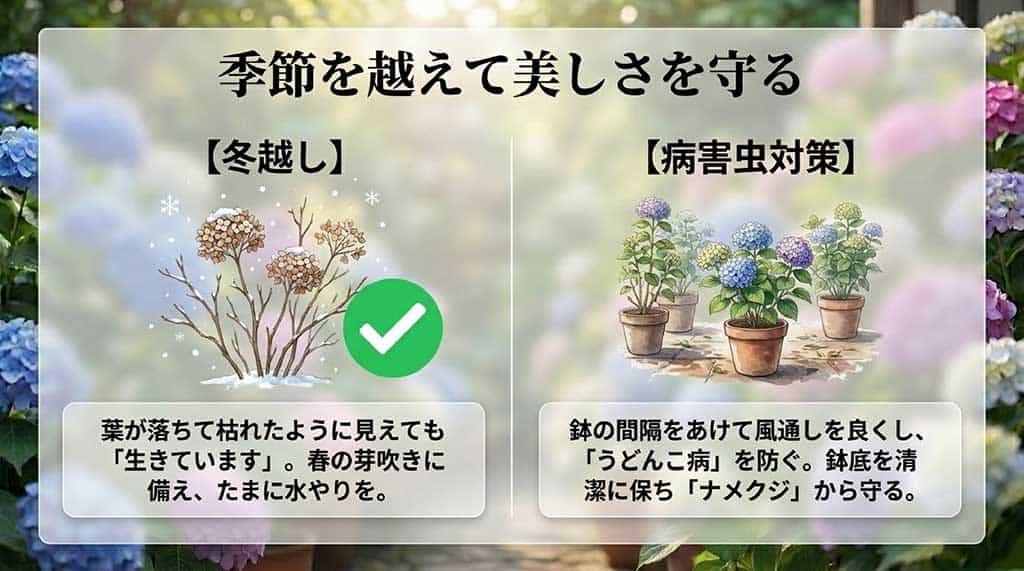 枯れたように見える冬の休眠期の管理と、うどんこ病・ナメクジから守る方法を説明するスライド
