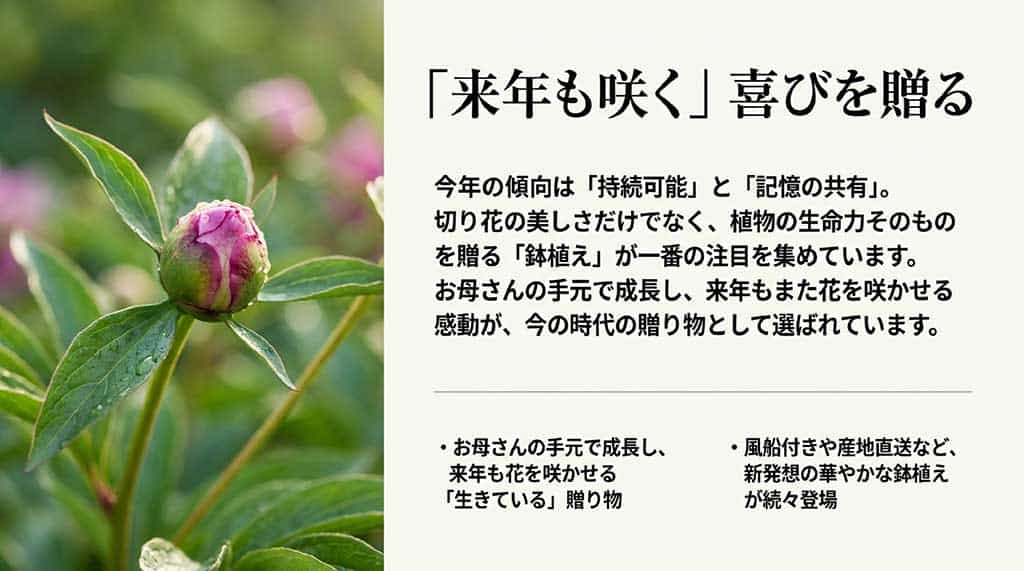 サステナビリティと記憶の共有をテーマにした鉢植えギフトのメリット(来年も咲く生命力、メッセージバルーン付き等の新発想)を解説するスライド