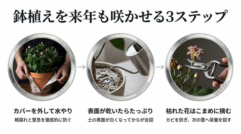 カバーを外した水やり、表面が乾いた時のたっぷり給水、こまめな花がら摘みの手順を解説する図解スライド